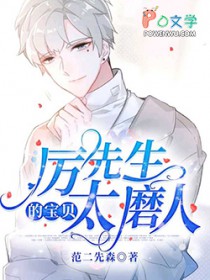 厉先生小说